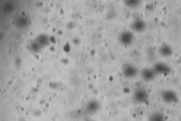 Bubble project thumbnail