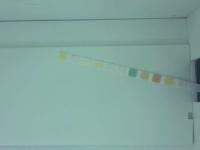 Strip project thumbnail