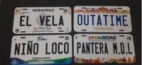 object_placas_yolov11 project thumbnail