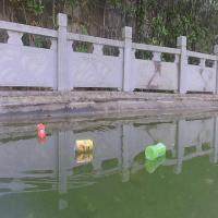 plastic_vs_non-plastic project thumbnail