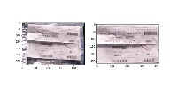 1417label project thumbnail