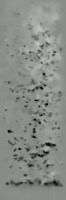 particule project thumbnail