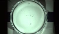 data_icra project thumbnail
