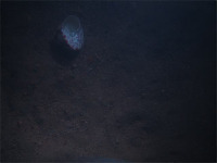 underwater-objects project thumbnail