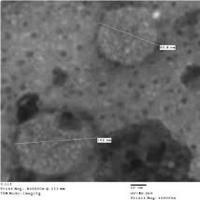 Cattle-disease-detection Object Detection Dataset by Skin Disease