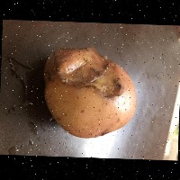 Dataset Image