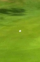 Ball and Hole Golf Segmentation project thumbnail