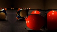 Dataset Image