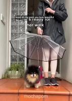 Find dogs, people and leashes project thumbnail