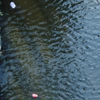 float-plastic-waste-river project thumbnail