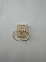 Earrings-test-YOLOnas project thumbnail