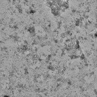 RT_CM_Endpoint_Classification project thumbnail