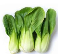 Vegetable Detection project thumbnail