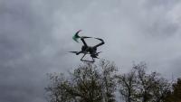 drone bird project thumbnail