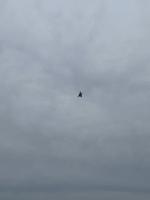 rafale1 project thumbnail