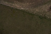 UAV SUAS project thumbnail