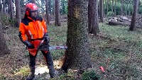 sawing_3 project thumbnail