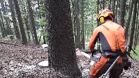 sawing_2 project thumbnail