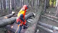 sawing_5 project thumbnail