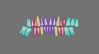 Annotation Visualization