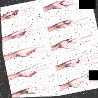 Dataset Image