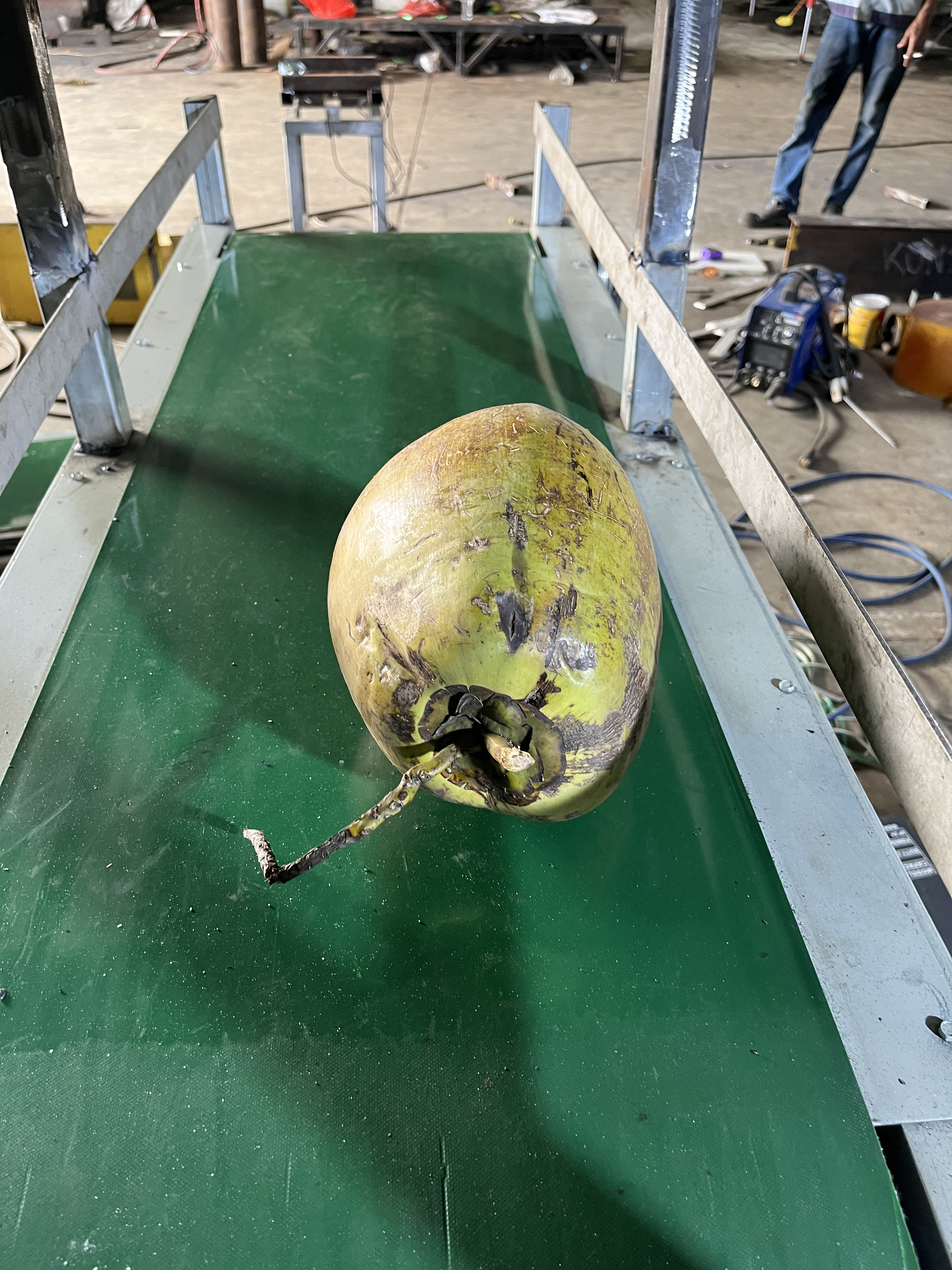 coconut Object Detection Model by PSM