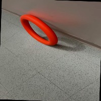 Dataset Image