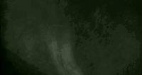 ContrastCells project thumbnail
