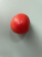 cà chua 4, loại 1 project thumbnail