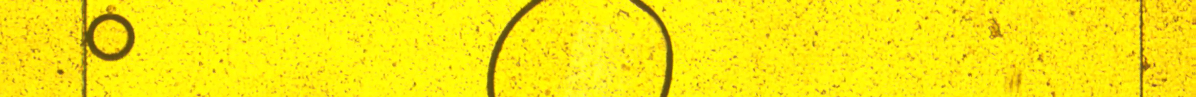 count_cell Object Detection Dataset by cell