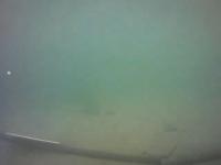deniz_boru project thumbnail