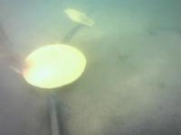 deniz_boru2 project thumbnail
