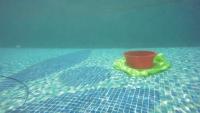 kpp_yolo project thumbnail