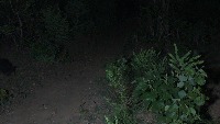 Day-Object-Detection project thumbnail