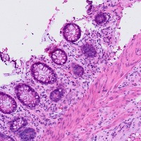 Cell types project thumbnail
