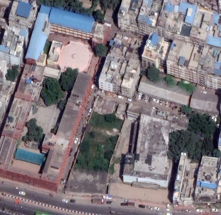 TreeFinder Object Detection Model by Masters