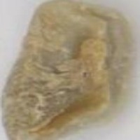 clsDataset project thumbnail