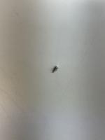 screw detection project thumbnail
