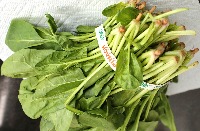 crops project thumbnail