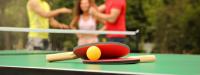 ping-pong-v1 project thumbnail