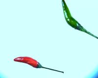 dataset chilli 3 project thumbnail