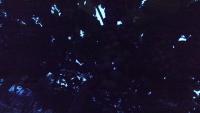 grape project thumbnail