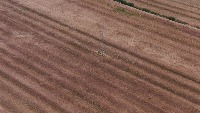 feeder-pole-detection project thumbnail