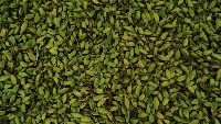 Cardamaom_Moisture project thumbnail