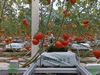 harvest project thumbnail