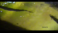 fish project thumbnail