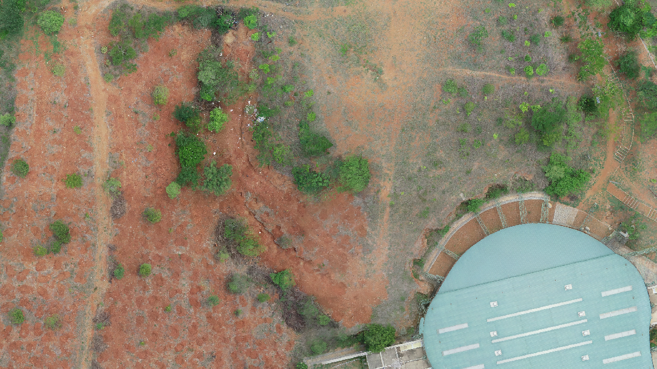 All Trees-Agastya new-input_images Instance Segmentation Dataset by test