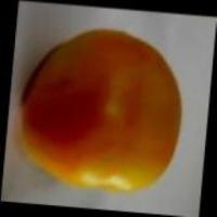 Tomato Sorter OD project thumbnail