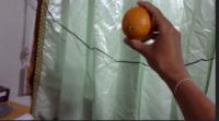 Item project thumbnail
