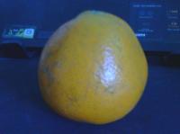 Orange project thumbnail